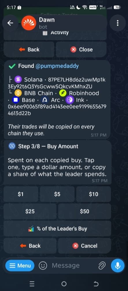 Dawn Copytrade step 3 of 8: buy amount presets and % of the leader's buy