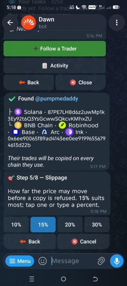 Dawn Copytrade step 5 of 8: slippage 10%, 15%, 20% or 30%