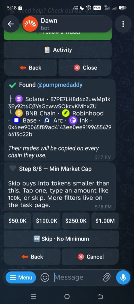 Dawn Copytrade step 8 of 8: minimum market cap filter